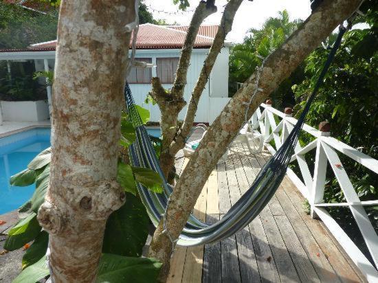 El Momo Cottages วินด์เวิร์ดไซด์ ภายนอก รูปภาพ